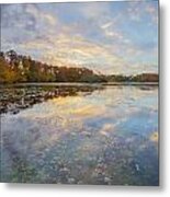 Shad Sunset #4 Metal Print