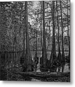 Stahl Preserve Metal Print