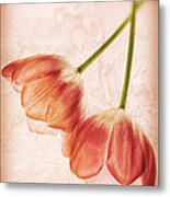 Tulip Flowers Metal Print