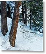 Winter Forest #4 Metal Print