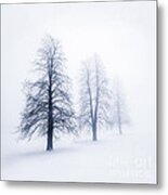 Winter Trees In Fog 6 Metal Print