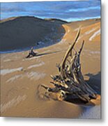 Silver Lake Sand Dunes #44 Metal Print
