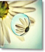 Instagram Photo #491402369154 Metal Print