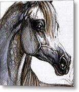 Arabian Horse Metal Print