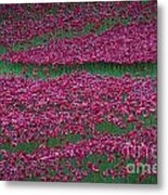 Blood Swept Lands And Seas Of Red #5 Metal Print
