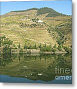 Douro River Valley #5 Metal Print