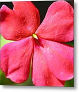 Flower #5 Metal Print