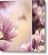 Magnolia Flowers #5 Metal Print