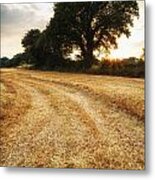 Stunning Summer Landscape Of Hay Bales In Field At Sunset #5 Metal Print