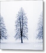 Winter Trees In Fog 5 Metal Print