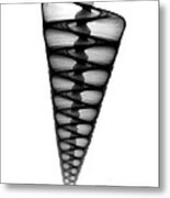 X-ray Of Top Shell #5 Metal Print