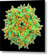 Adeno-associated Virus #6 Metal Print