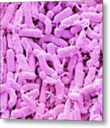 Breast Milk Bacteria #6 Metal Print