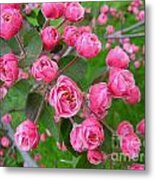 Color Of The Spring #10 Metal Print