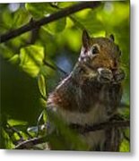 Duke Gardens #6 Metal Print