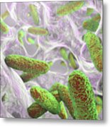 Klebsiella Pneumoniae Bacteria #6 Metal Print