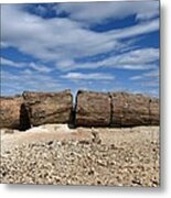 Petrified Forest, Argentina #6 Metal Print