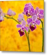Purple Orchid-9 Metal Print