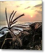 Untitled #6 Metal Print