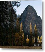Yosemite National Park #6 Metal Print