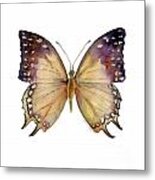 63 Great Nawab Butterfly Metal Print