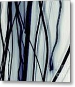 7148 Metal Print