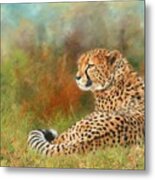 Cheetah #8 Metal Print