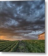 Newly Planted Crop #8 Metal Print