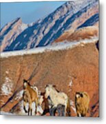 North America, Usa, Wyoming, Shell, Big #8 Metal Print