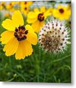 Wildflowers #18 Metal Print