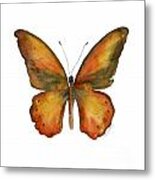 85 Lydius Butterfly Metal Print