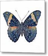 89 Red Cracker Butterfly Metal Print
