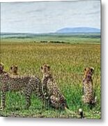 Safari In Kenya Africa #9 Metal Print