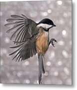 A Beautiful Landing Metal Print