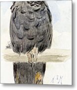 A Black Cockatoo Metal Print