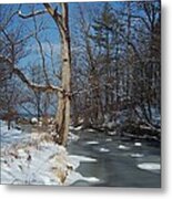 A Bright January Day By A Stream Metal Print