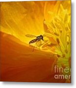 A Bug And A Green Inner Glow Metal Print