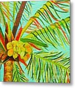 A Bunch Of Coconuts Metal Print