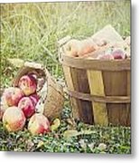 A Bushel And A Peck Metal Print