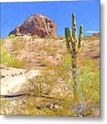 A Cactus In The Arizona Desert Metal Print