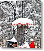 A Cardinal Winter Metal Print