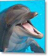 A Close-up Of A Happy Dolphin Swimming Metal Print