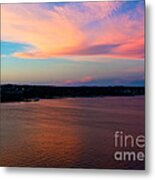 A Cloudy Stork Metal Print