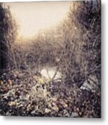 A Glimpse Of The Creek Through The Metal Print