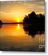 A Golden Moment Metal Print