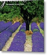 A Gourmet Cover Of A Lavender Field Metal Print