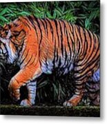 A Grumpy Tiger Metal Print