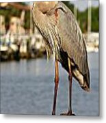 A Heron In The Marina Metal Print