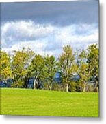 A Line Of Trees In Vermont Metal Print