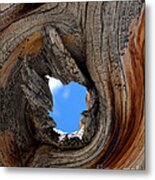 A Patch Of Blue Metal Print